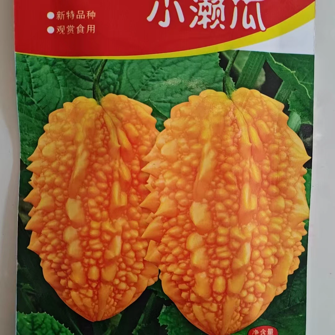 赖瓜种子10粒种子