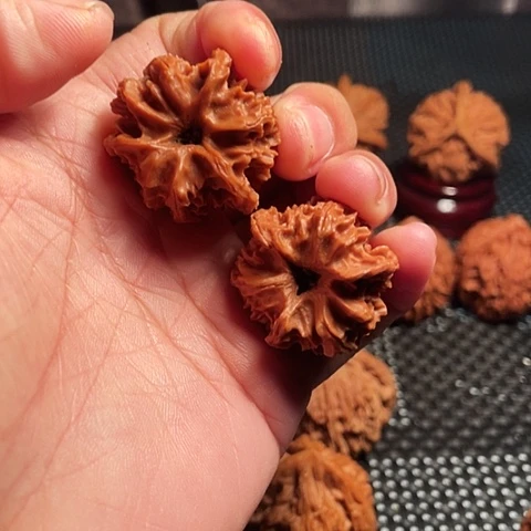 吊坠文玩核桃31野生龙门涧三棱