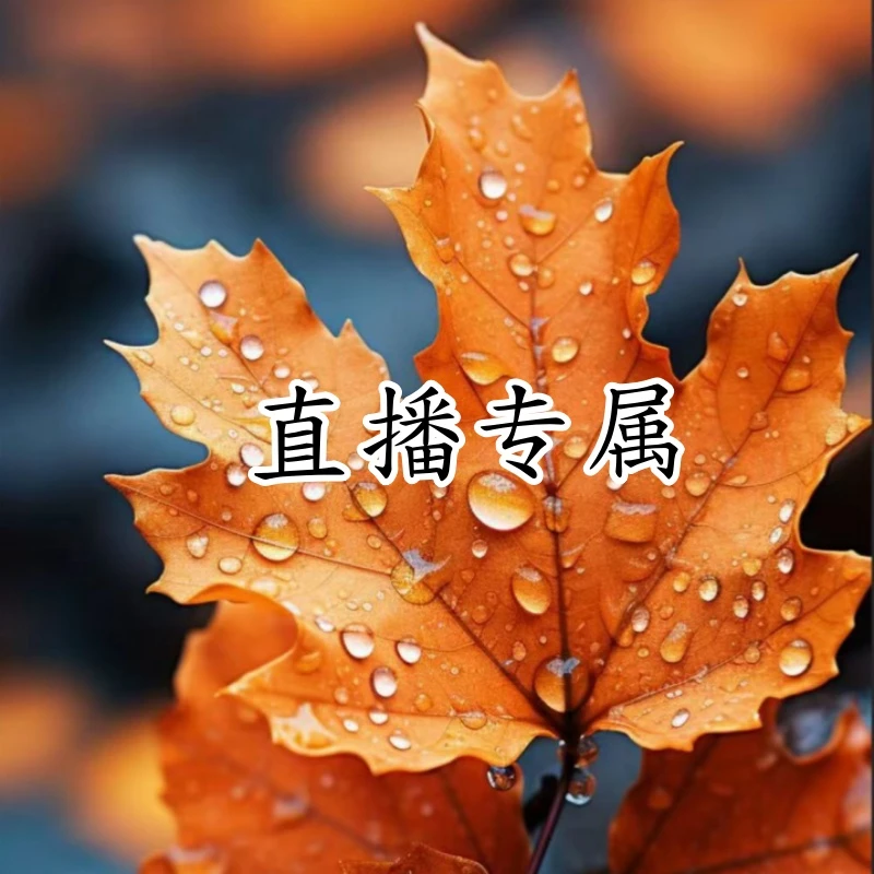 [品牌高货青沧]高品质睡裙春夏季宽松家居服600-699