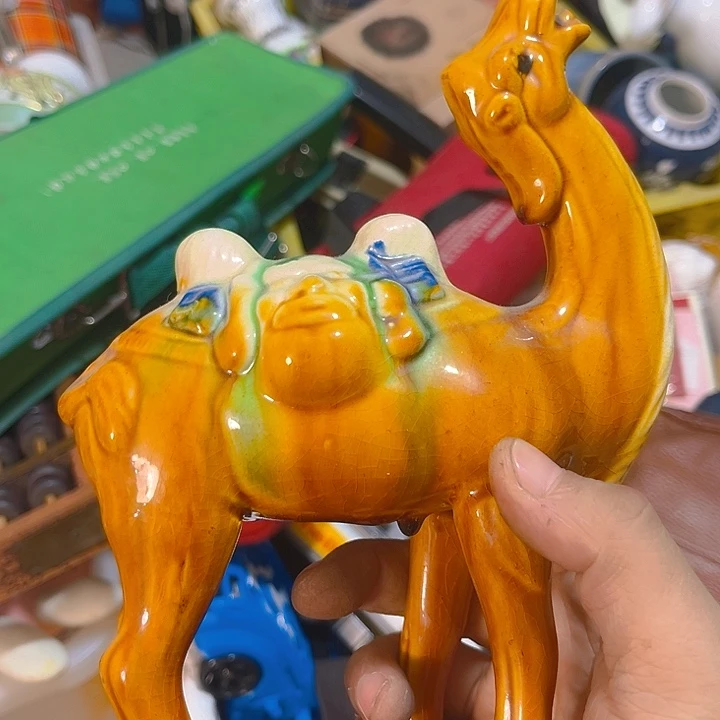 杂色豆（科檀/科特迪瓦檀木）胖****?