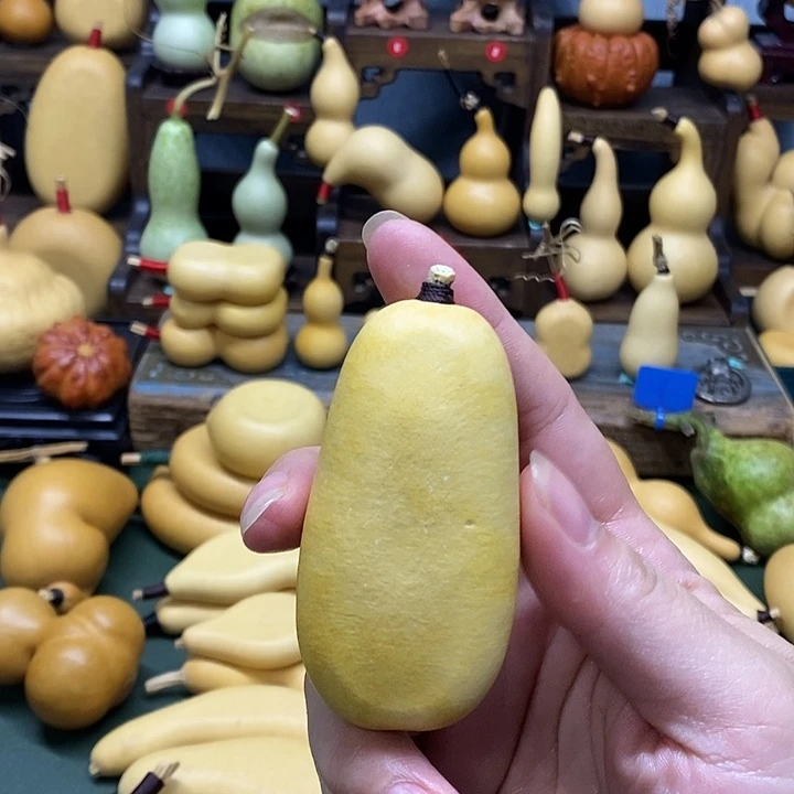 小冬瓜扁葫芦厚皮