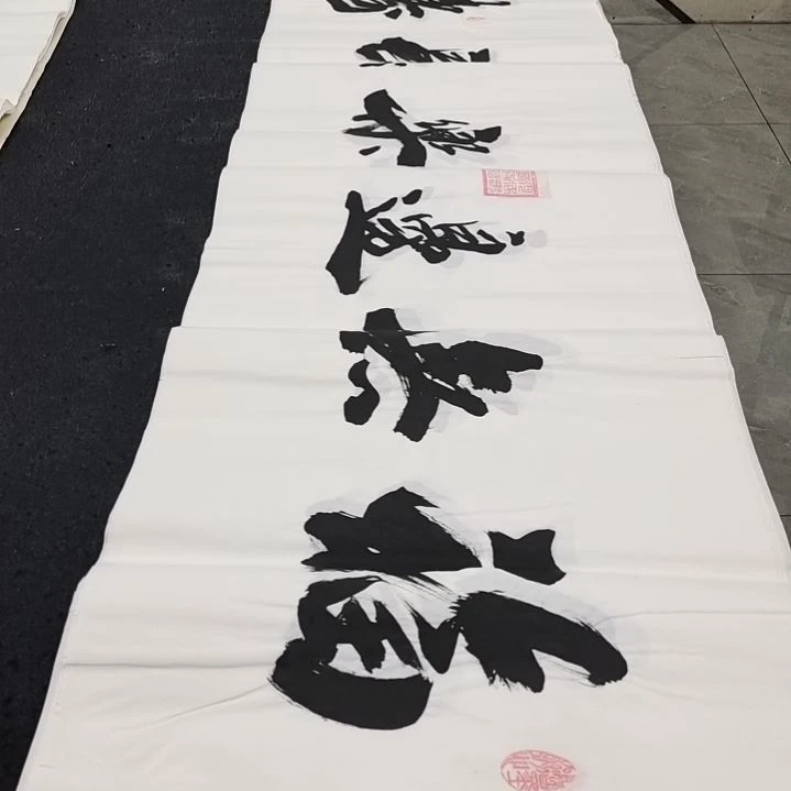 翰墨申国栋老师作品