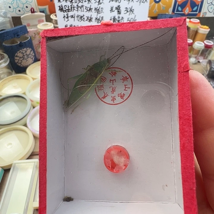 金钟全品一只………………oi