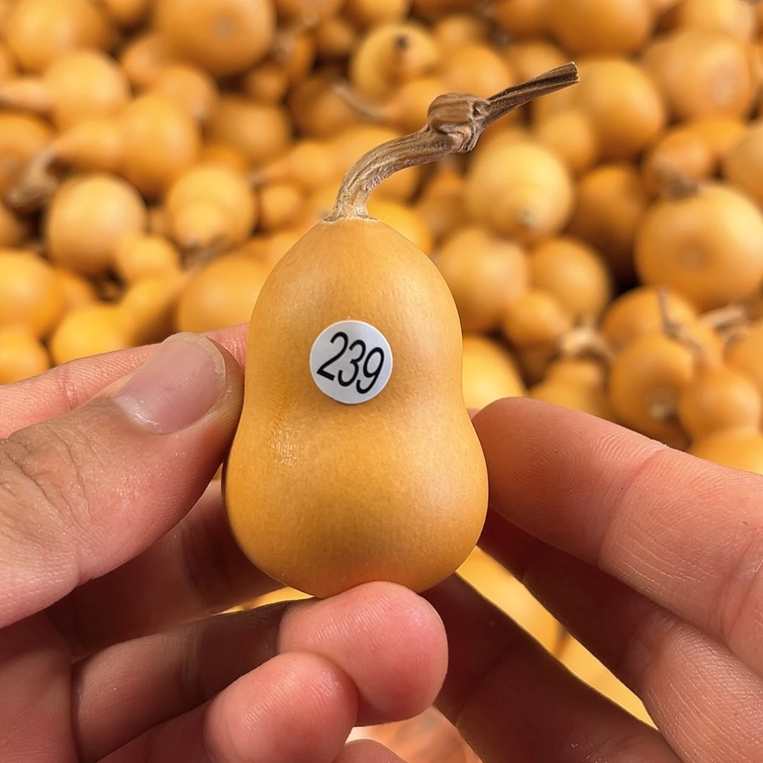 葫芦葫芦葫芦葫芦葫芦239