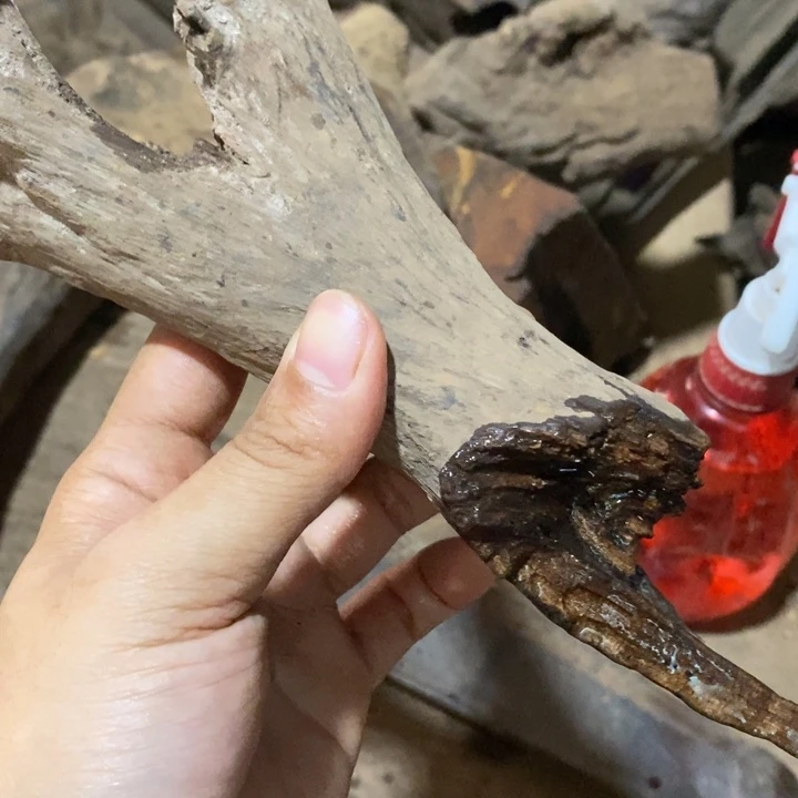 把件贡木小*子定制不退不换