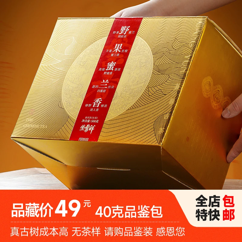 紫云祥2021年清明头采野果蜜兰香古树生茶