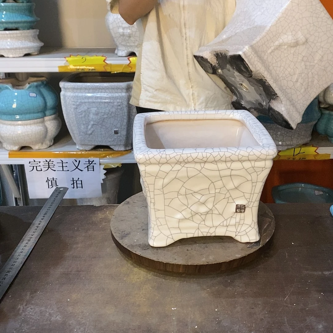 阿*花盆花盆里的小