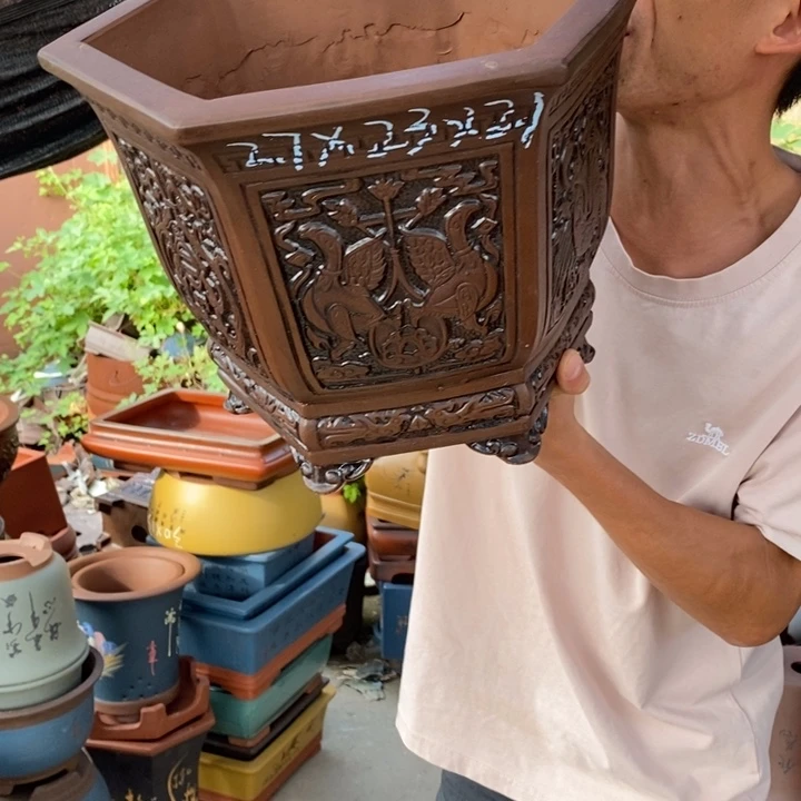 紫砂紫砂紫砂紫砂