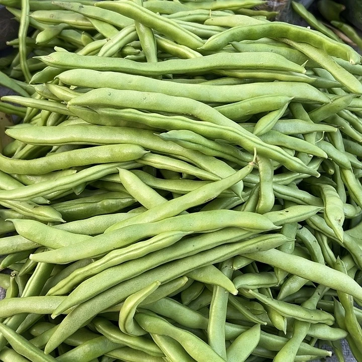 云南农家四季豆5斤