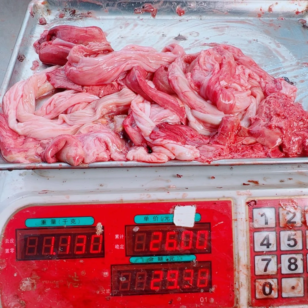 中国大陆鱼杂鳗鱼