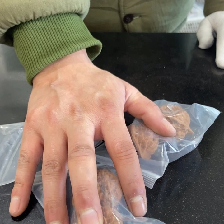 吊坠文玩核桃小众