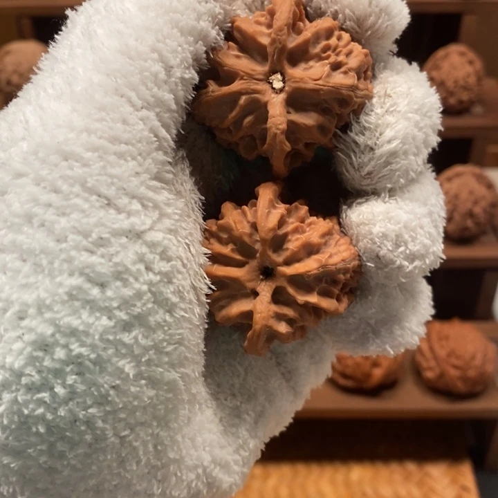 稀***ε40 尺寸苹果园狮子头核桃