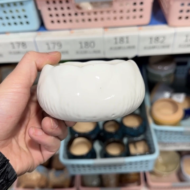 《所有单满15发（花盆）》8×5