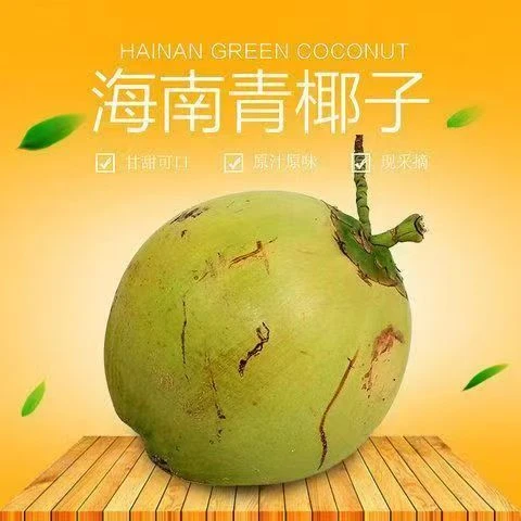 海南文昌带皮新鲜清甜微酸青椰子孕妇甘甜鲜甜当天采摘发货椰青