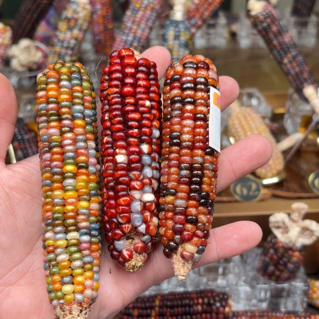 柏香籽/百香籽吊坠一*。