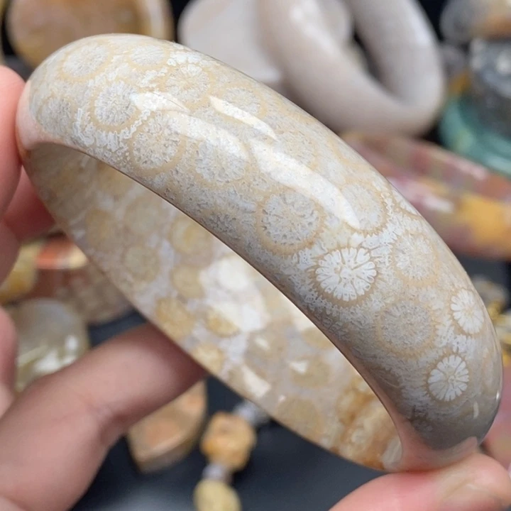 硅化玉未镶嵌项圈64