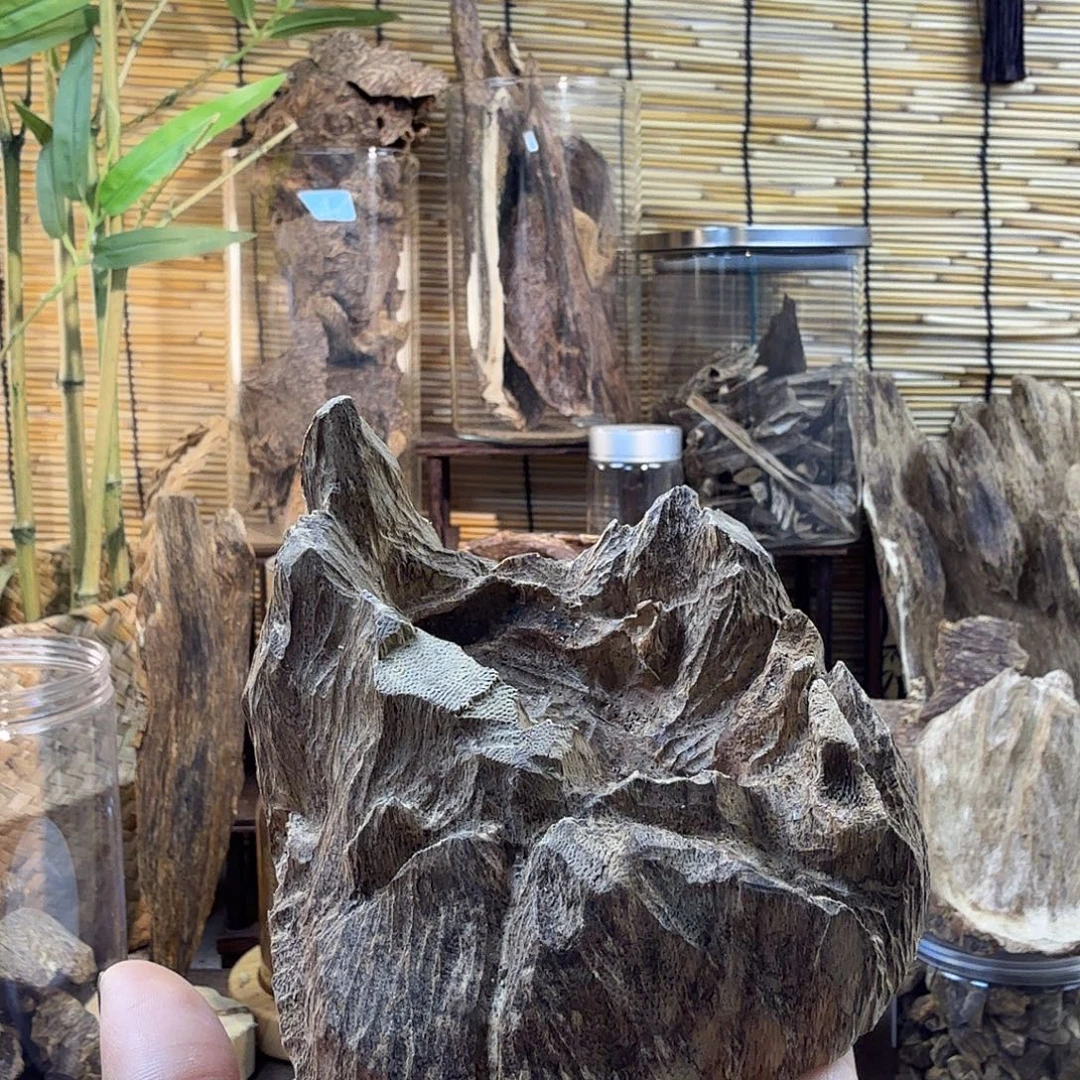 沉香碎屑沉香沉香水阁95g