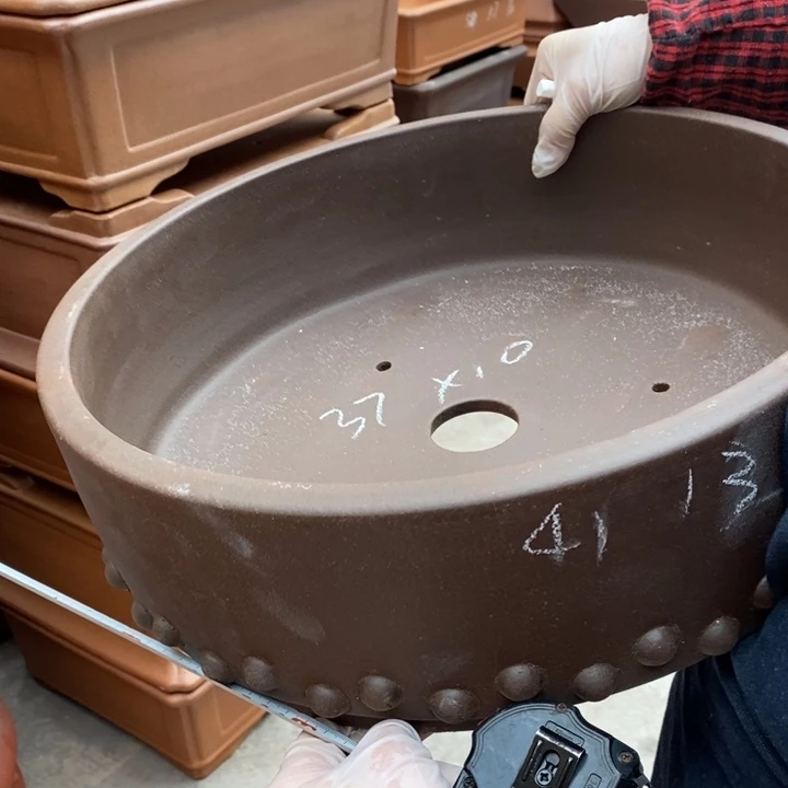 花盆紫砂只顾看你的