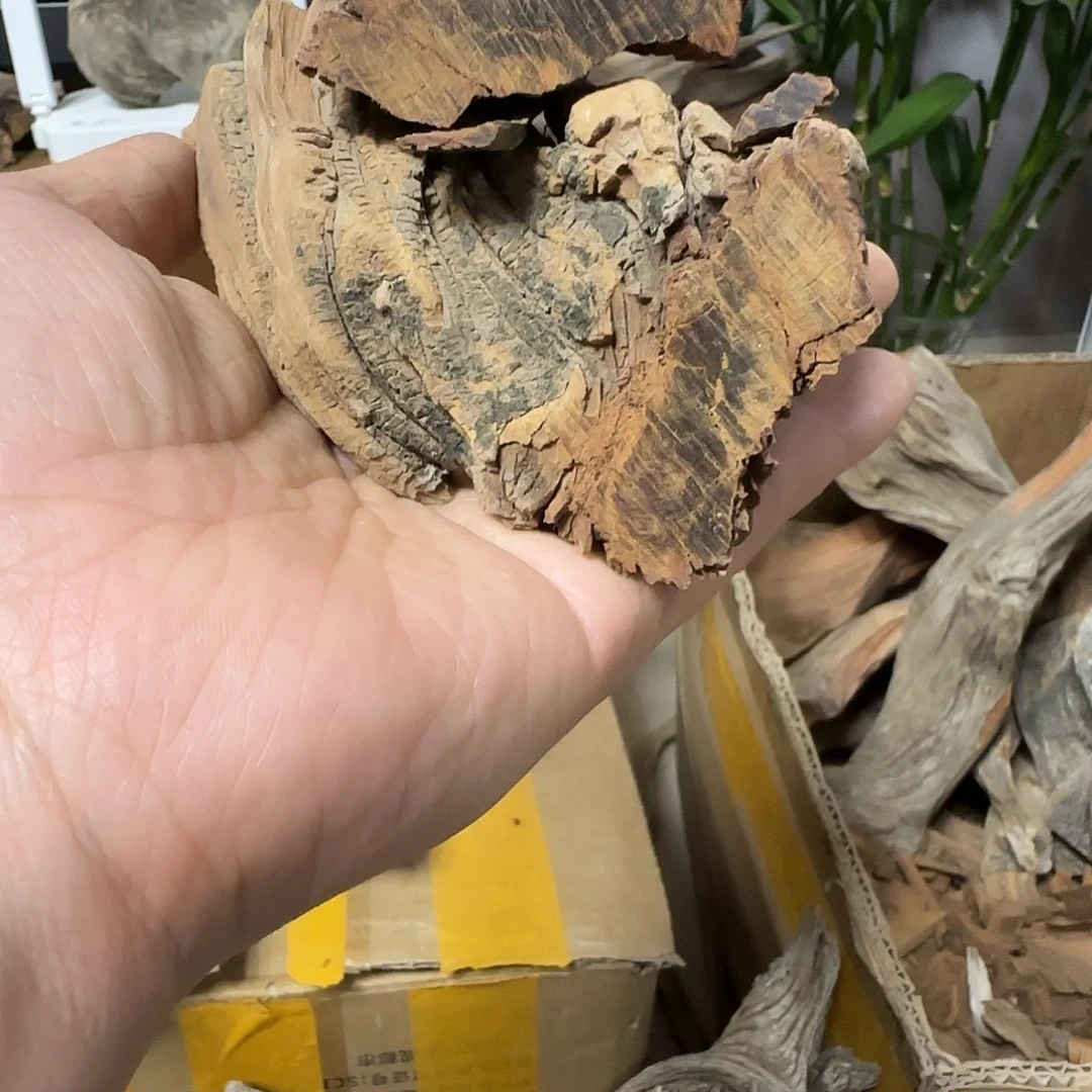 L***T木陈化到位坨坨疙瘩