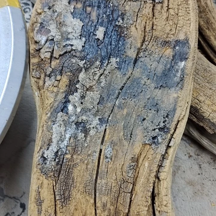 风车木（黑檀木）吴*康