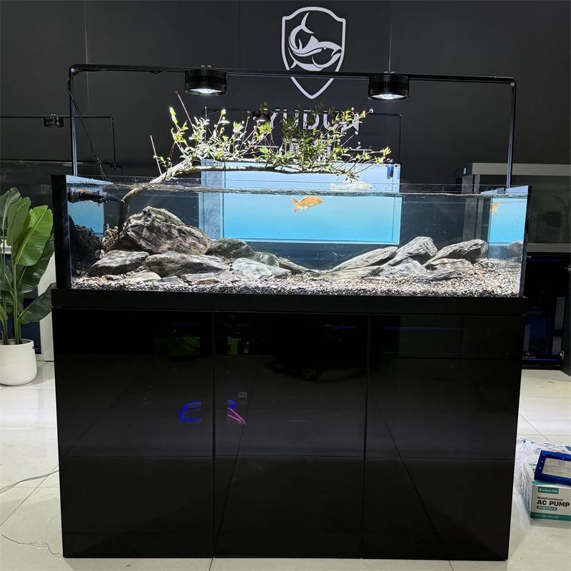 极窄溪流缸金晶超白玻璃底滤干湿分离客厅生态原生鱼缸南美水草缸