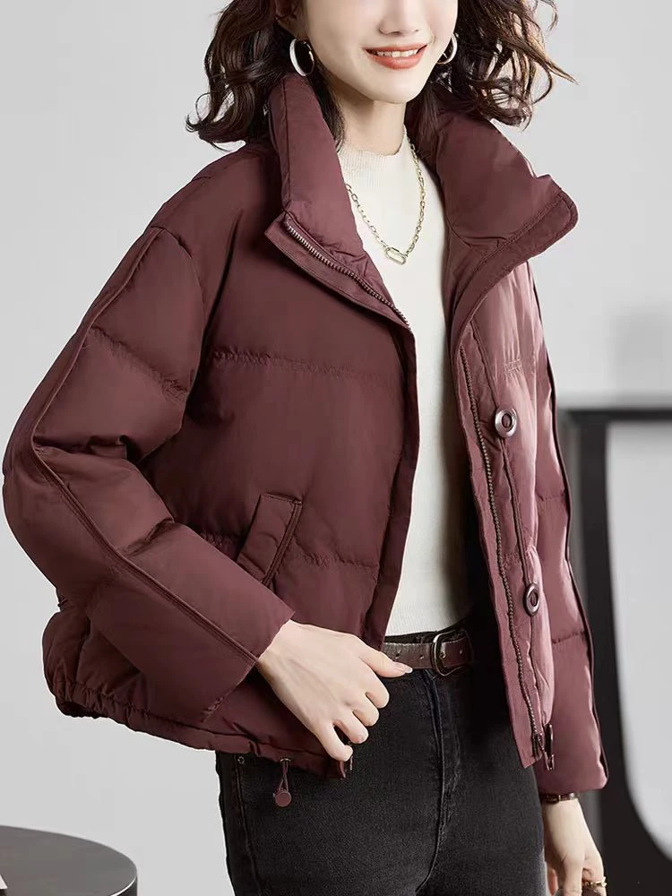 蚕物2024新款立领保暖羽绒服女冬季保暖外套h175彭彭