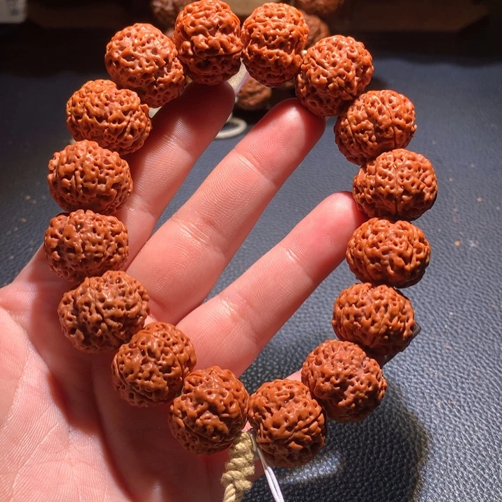 菩提籽类22+蜂窝蜂王