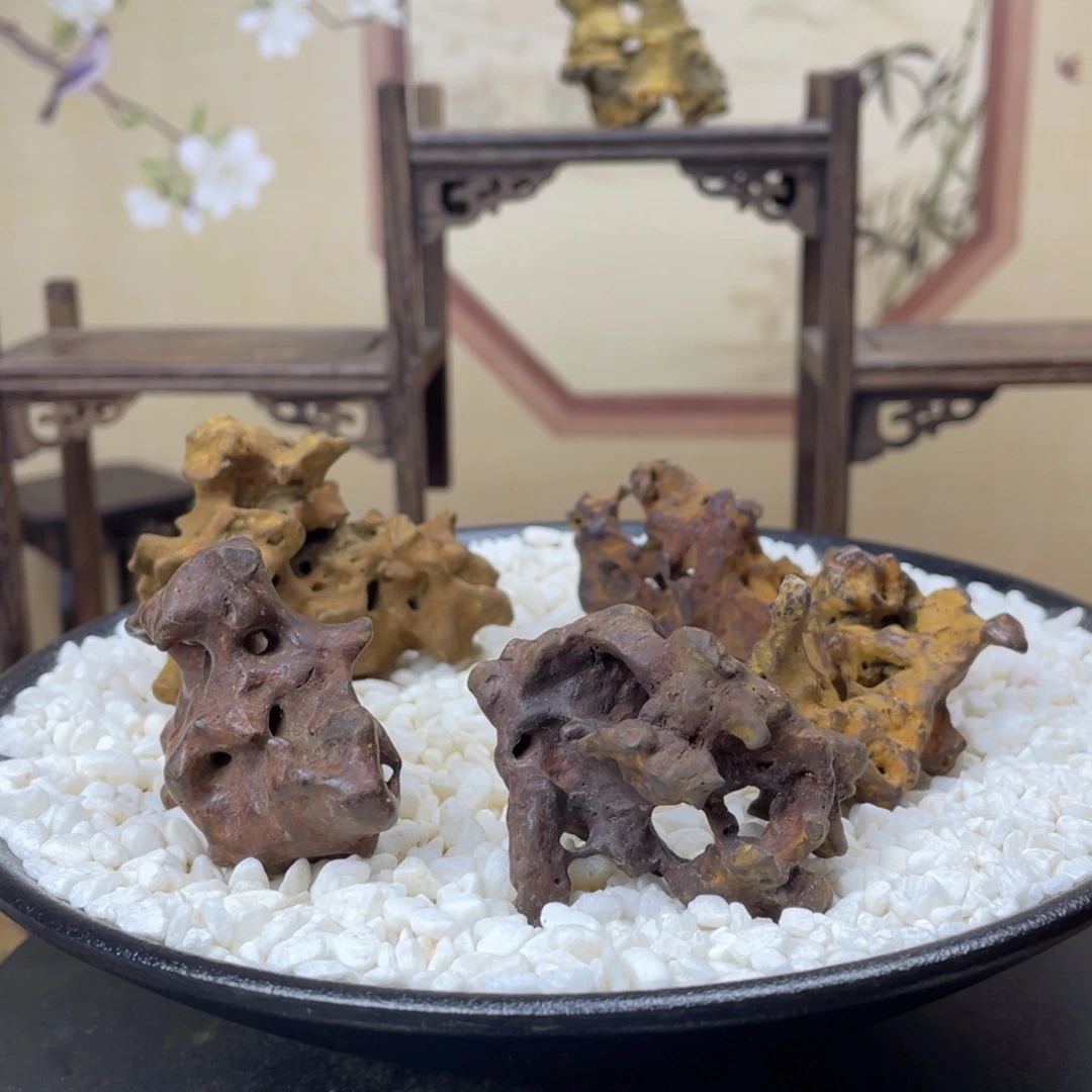 5-6公分一组苏州太湖水石