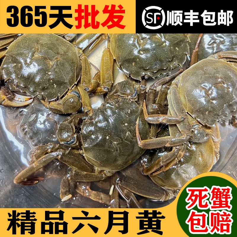 【洪泽湖公蟹】洪泽湖螃蟹河蟹（2.2-2.5两河蟹公蟹10只）顺丰包邮