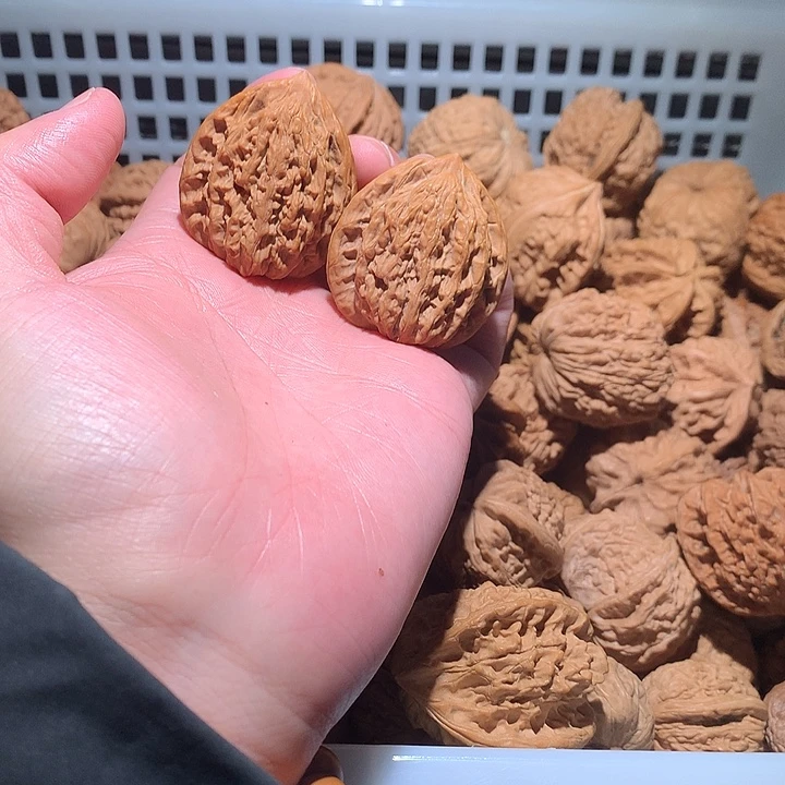 文玩核桃吊坠胖坨坨瘦坨坨