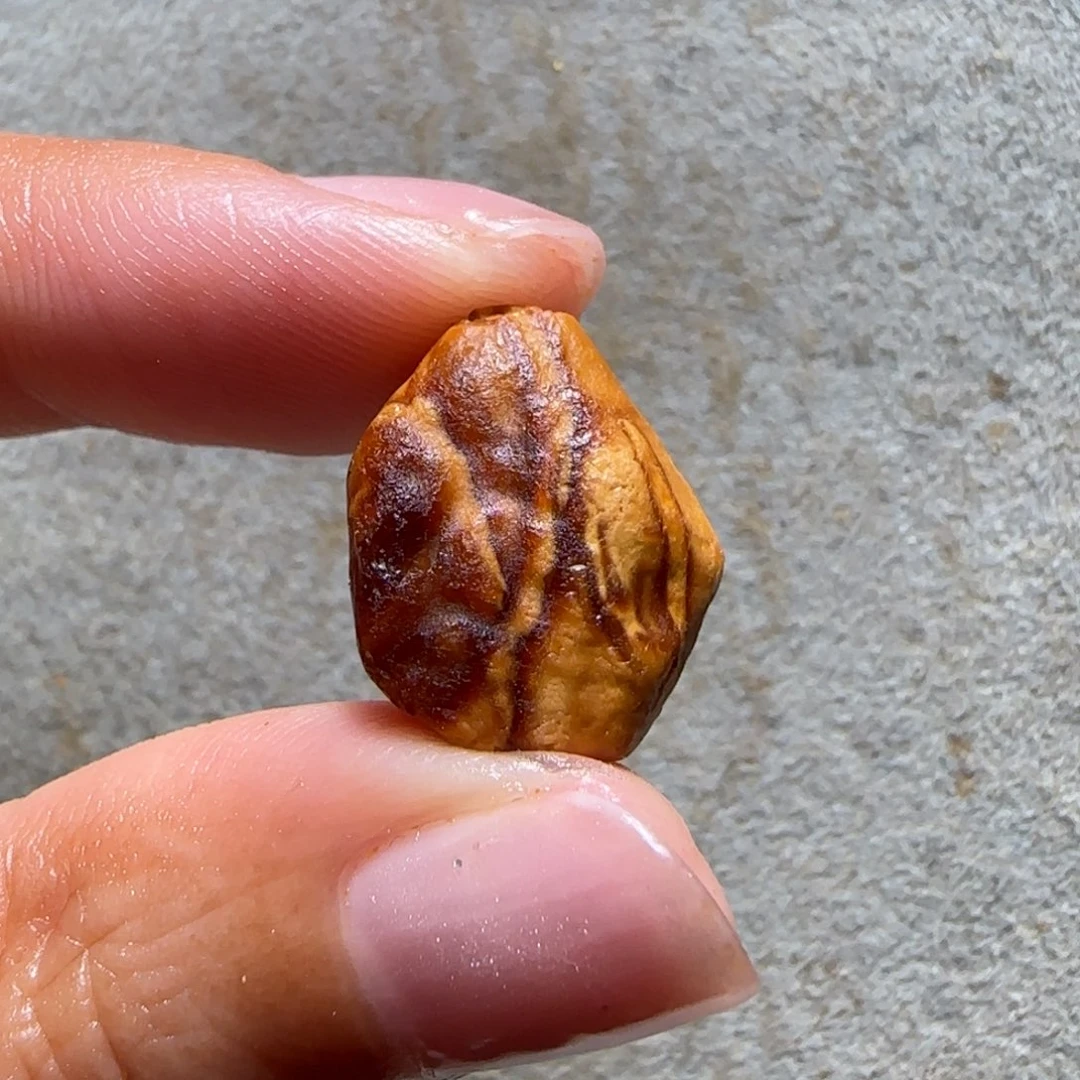 未镶嵌定制琥珀Y*z专拍