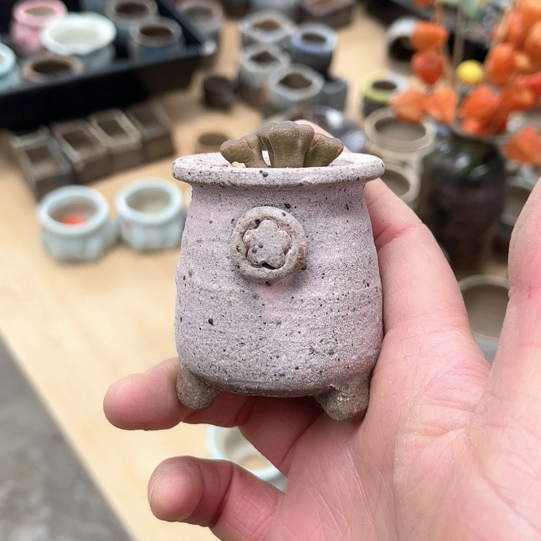 红陶彦*微瑕特价内口3外高5