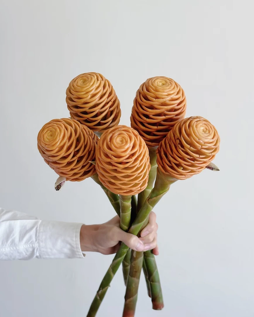 【蜂蜜棒】 香波姜 小熊维尼蜂蜜棒 真花 水培鲜花 养护简单