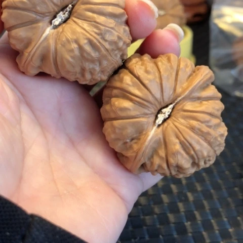 吊坠文玩核桃南瓜45尺