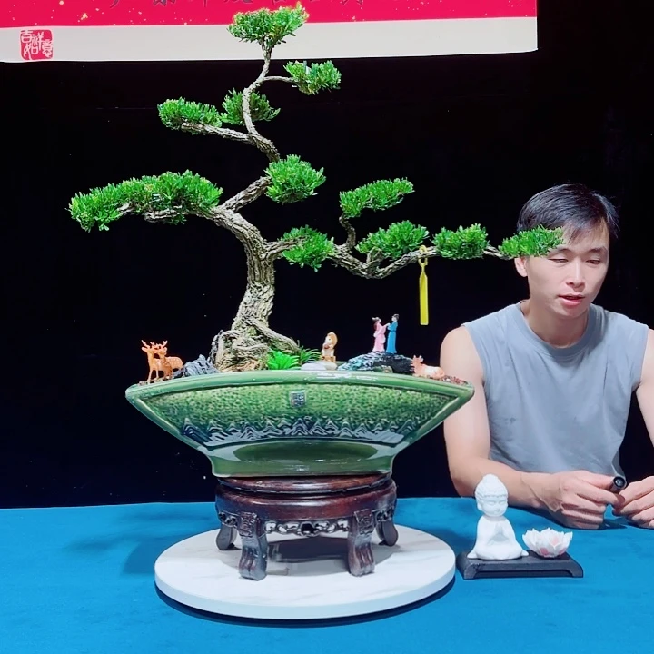 无花朵广东邹皮雀舌黄杨