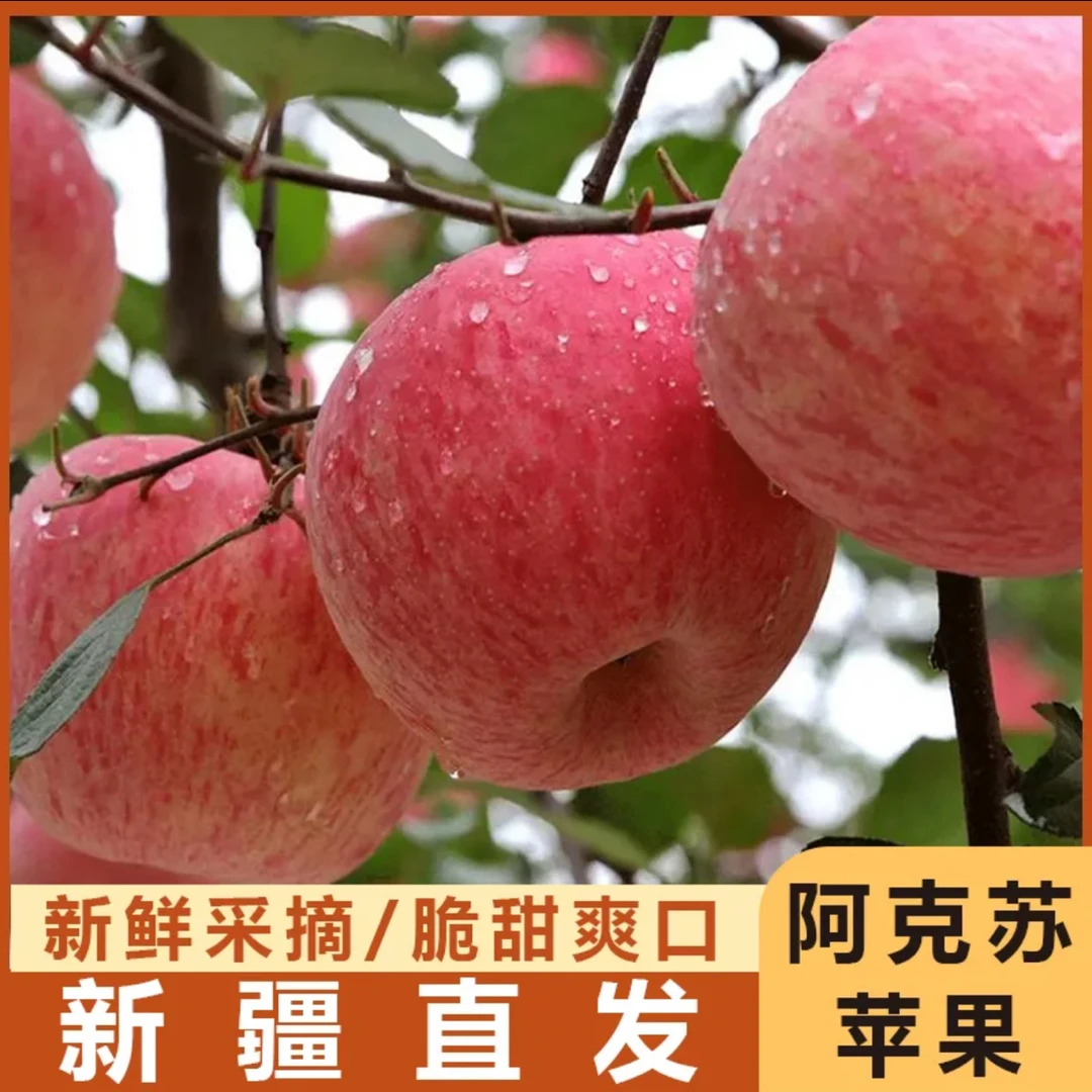 【顺丰包邮】新疆阿克苏红富士苹果5/9斤