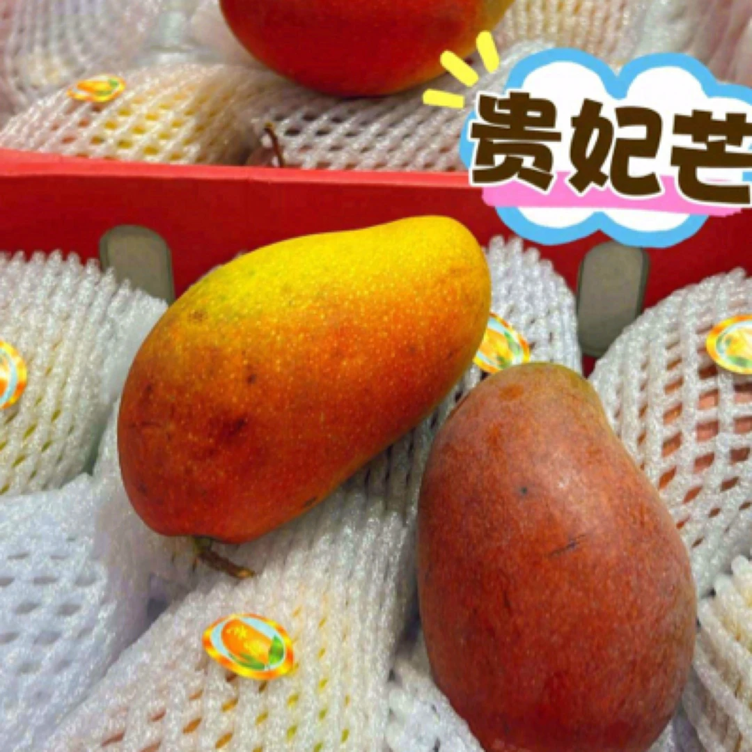 贵妃芒  一份2公斤净重