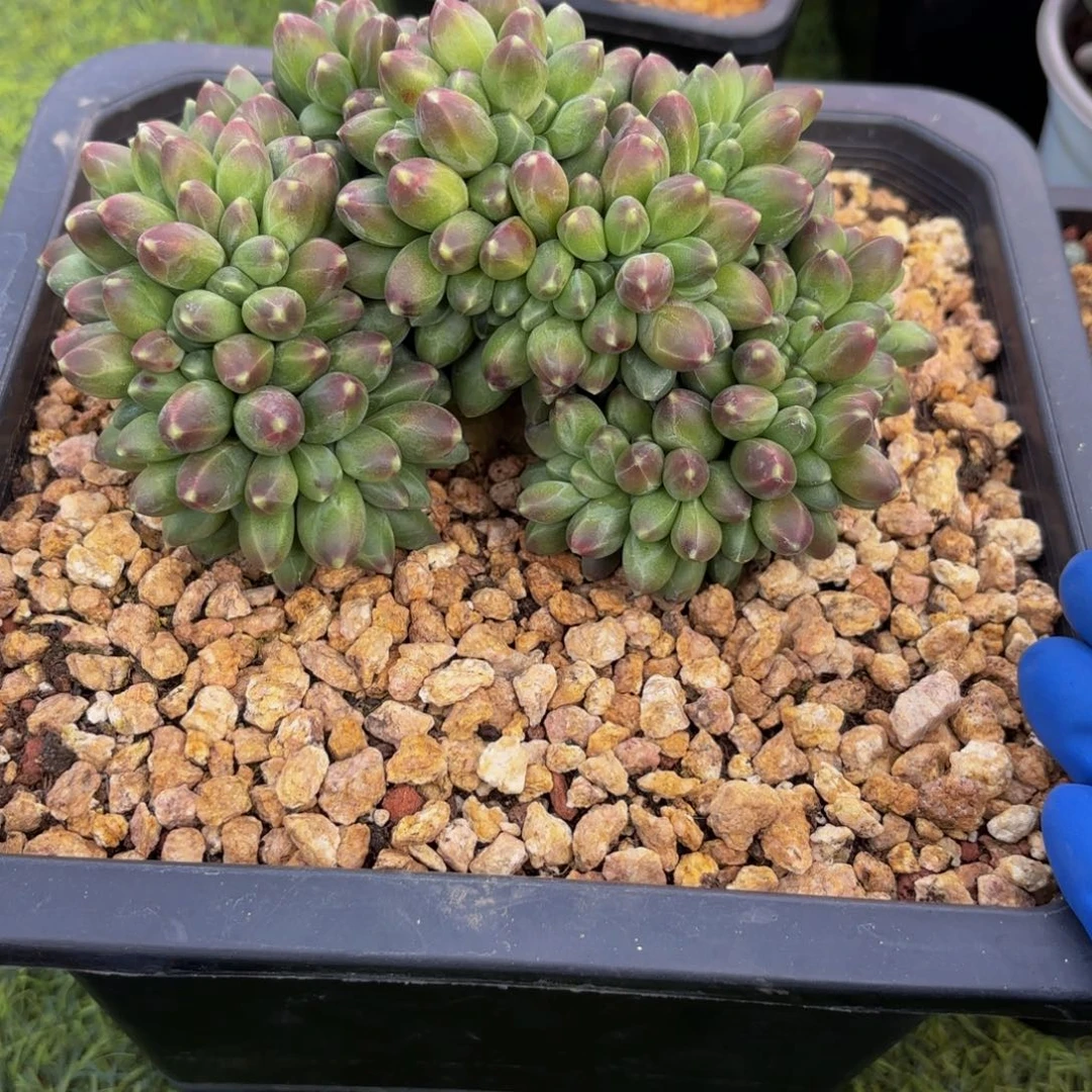 用****5Jvhjhjjjhhhhhhbbbnj