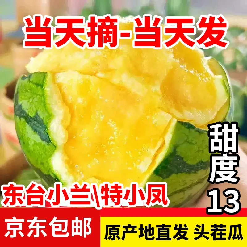 【京东包邮】东台小兰特小凤精品头茬瓜甜度13产地直发冰淇淋西瓜