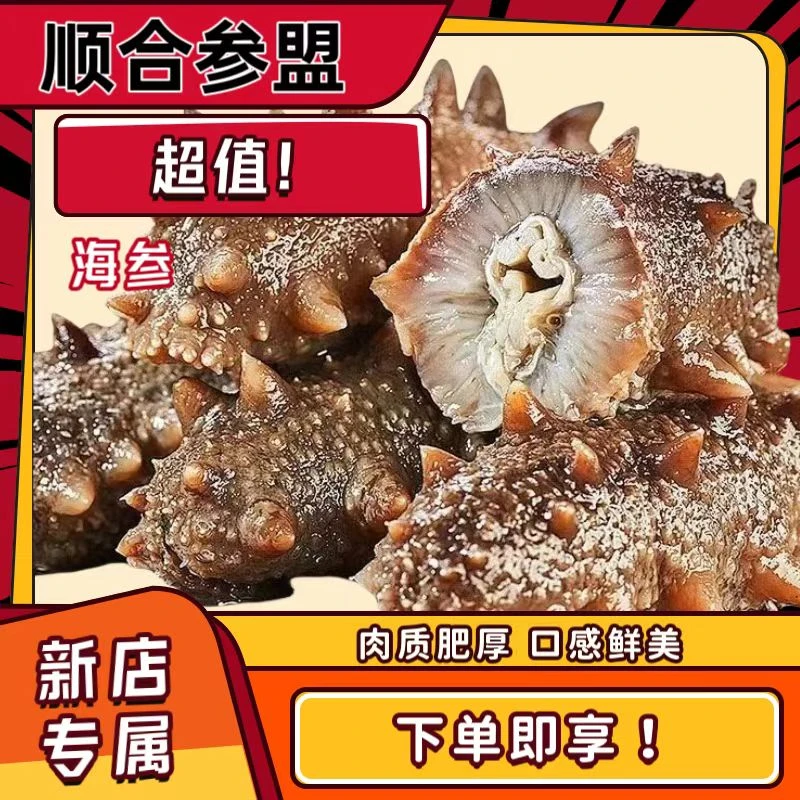 新店优惠 正宗即食大连海参辽刺参【顺合参盟】精选（11-13头）