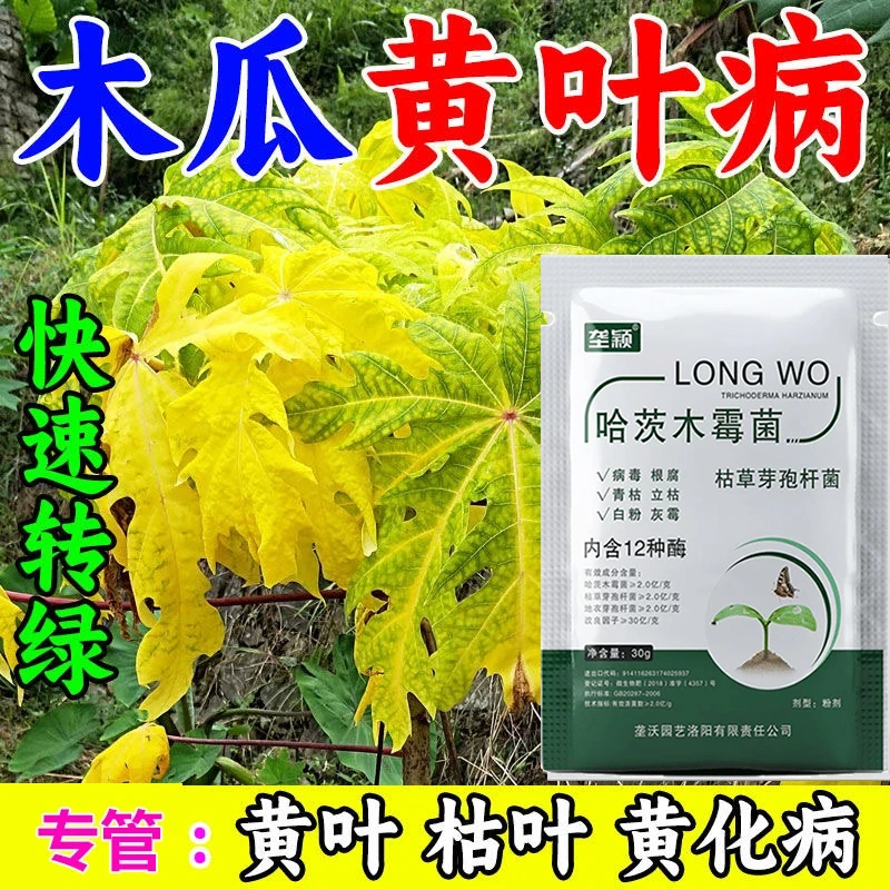 木瓜黄叶病专用叶子发黄叶斑病黄化病烂叶专管花叶病毒病叶面肥料