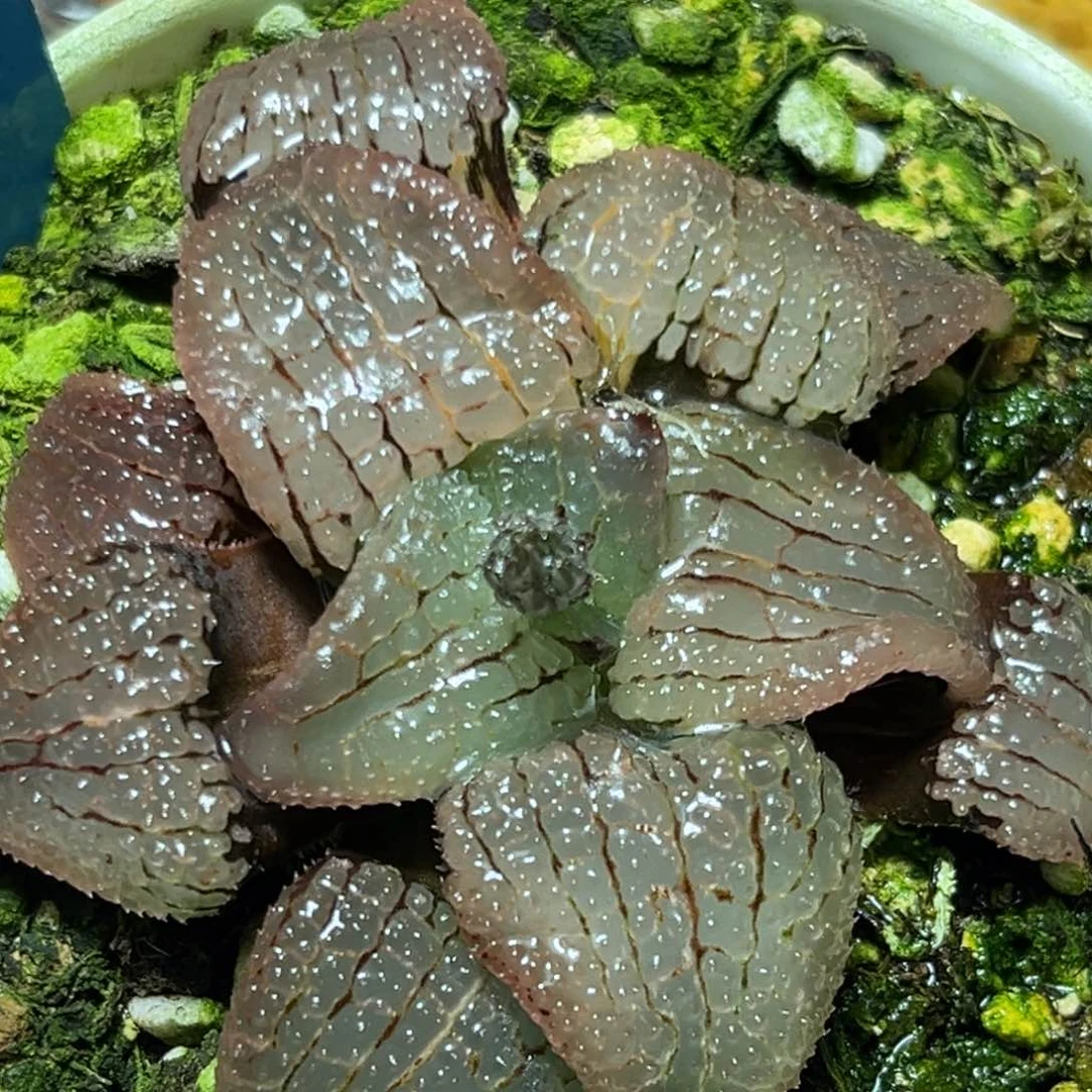 恭喜发财大吉大利0232