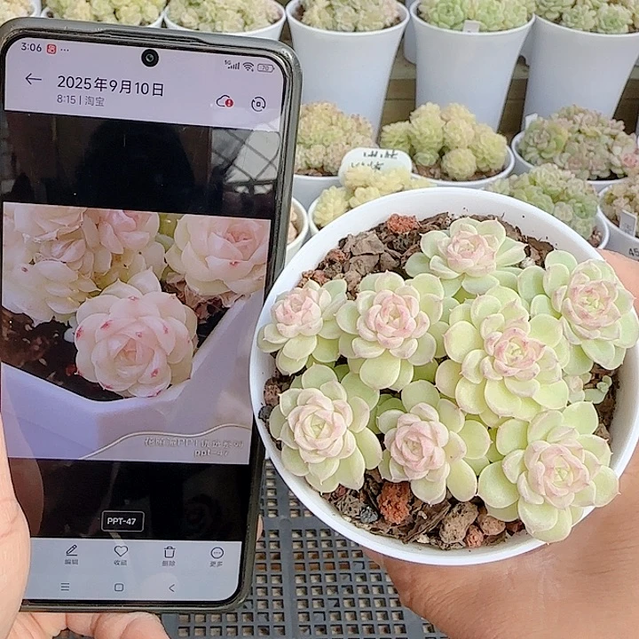 1201-109（ppt-47）优选