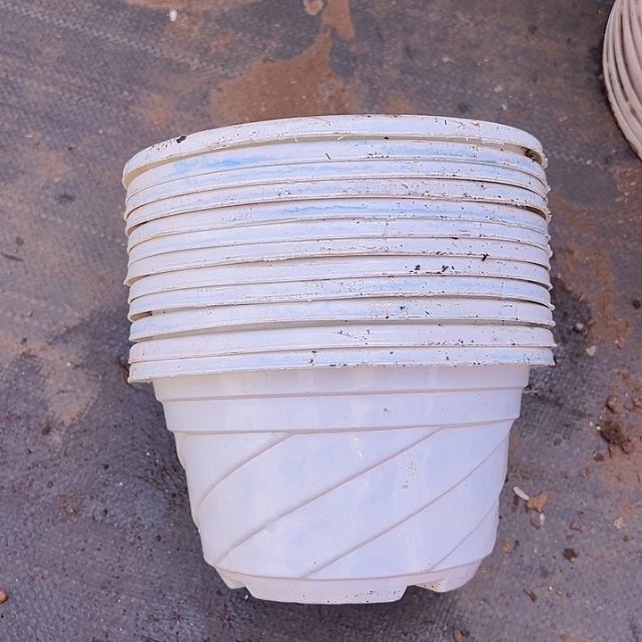 白色螺纹盆口径17高9.5发30个