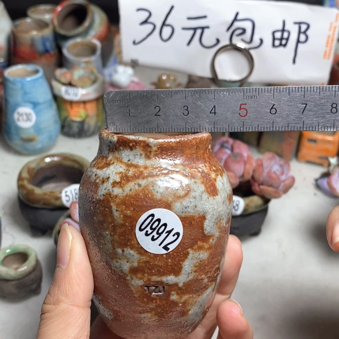 拍5送一个小礼物