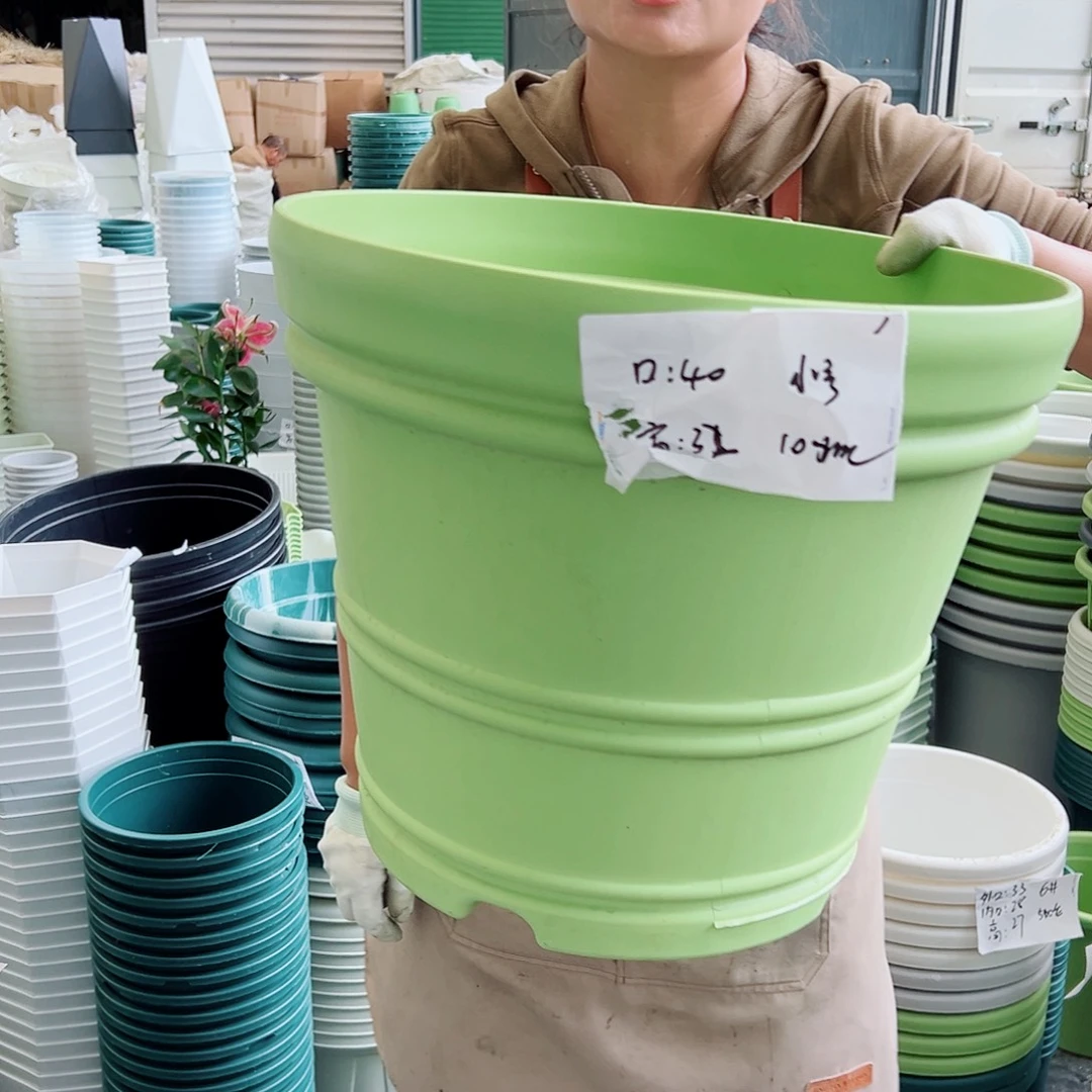 仿陶罗马小号果绿色3个无托