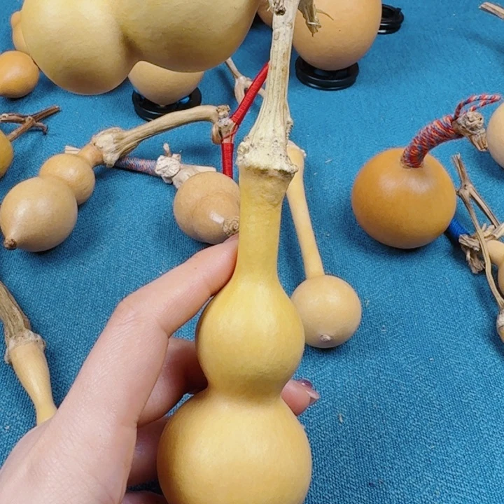 ?****是啦啦啦啦啦啦啦啦