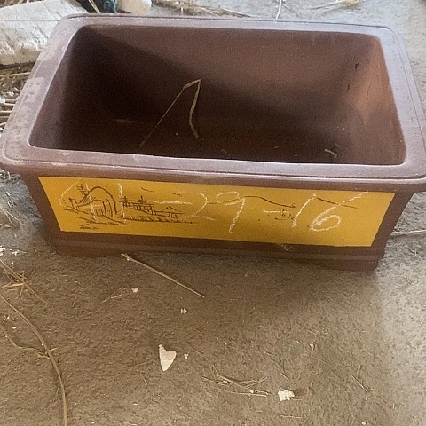 中国宜兴紫砂花盆，