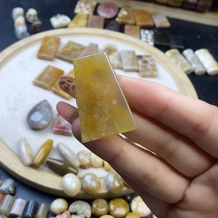 硅化珊瑚（珊瑚玉）未镶嵌颈饰32