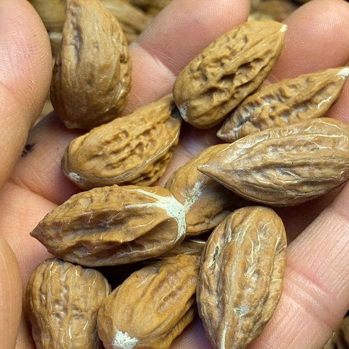 桃核吊坠娜姐真的37